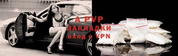 Альфа ПВП Богородицк