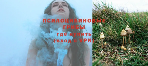 ПСИЛОЦИБИНОВЫЕ ГРИБЫ Богородск