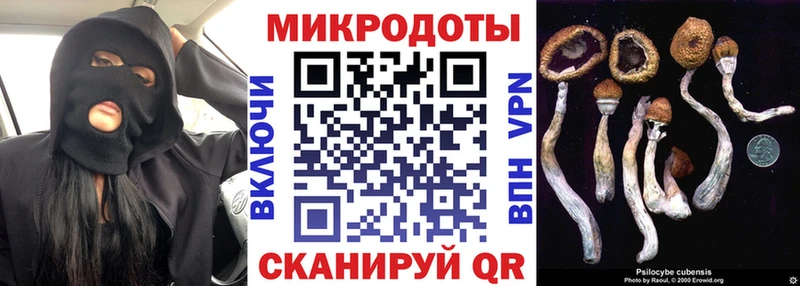 Псилоцибиновые грибы Magic Shrooms  нарко площадка клад  Хотьково  цены наркотик 